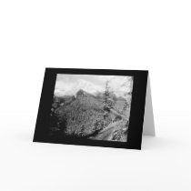 Mt. Rainier Rickseekers Point 1922 cards