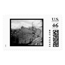 Mt. Rainier Rickseekers Point 1922 postage