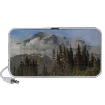 Mt Rainier Speaker