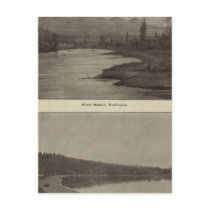Mt Rainier Steilacoom Beach Post Card