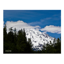 Mt. Rainier, WA Post Card