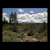 Mt. Shasta posters