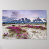 MT ST. ELIAS, ALASKA POSTERS