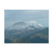 Mt St Helens Postcard