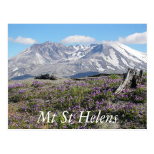 Mt St Helens Postcard