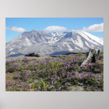 Mt St Helens Poster