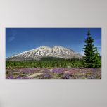MT ST Helens posters