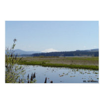 Mt St Helens View posters