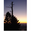 Mt. Tam sunset 3 photo sculptures by rocknca Mt. Tam sunset 3 photo sculptures