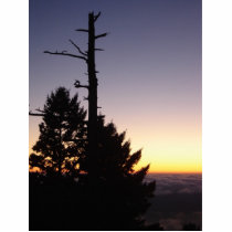 Mt. Tam sunset 3 photo sculptures