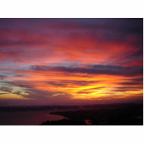 Mt. Tam Sunset photo sculptures