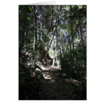 Mt Tamborine #2 Card