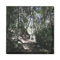 Mt Tamborine #2 Magnet