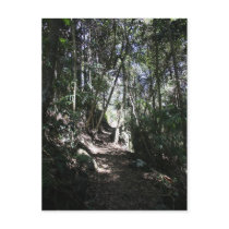 Mt Tamborine #2 Post Card