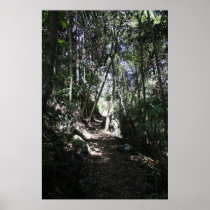 Mt Tamborine #2 Poster