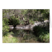 Mt Tamborine #3 Card