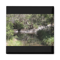 Mt Tamborine #3 Refrigerator Magnet