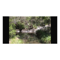 Mt Tamborine #3 Customized Photo Card