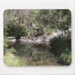 Mt Tamborine Mt Tamborine