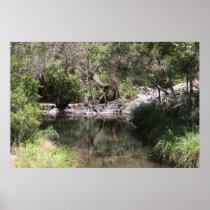 Mt Tamborine Print