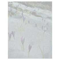 Mt. Velebit flowers Letterhead Design