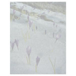 Mt. Velebit flowers Letterhead Design
