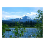 Mt. Washington