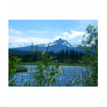 Mt. Washington