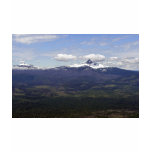Mt. Washington