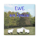 mthrewe&babes-z, MPZ-blk, EWEare Special, EWE a... magnets