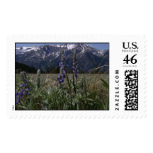 Mtn Meadow Postage Stamp
