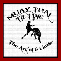 Muay Thai Til I Die - Art of 8 Limbs Poster posters