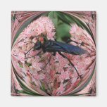 Mud Dauber ~ magnet