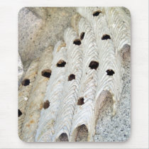 Mud Dauber Nest mousepads