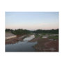 Mud Flats Postcards