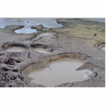 Mud holes, mud volcano acrylic cut outs