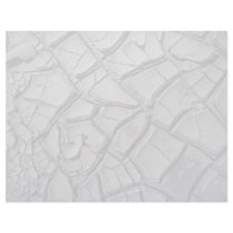 Mud plates in playas, Death Valley, California, U. Customized Letterhead