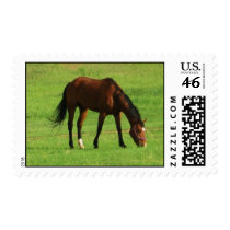 Mud postage