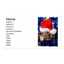 Mud turtle with head covered in santa hat business cards