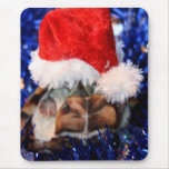 Mud turtle with head covered in santa hat mouse pad