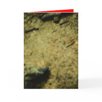 MUD WALKING cards by SAPPYJIM MUD WALKING cards