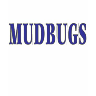 MUDBUGS in Blue Tiles shirt