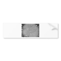 Muddy Aspen B&W Bumper Sticker