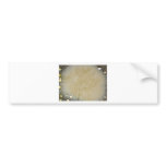 Muddy Aspen Bumper Stickers