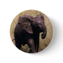 Muddy Baby Elephant Button
