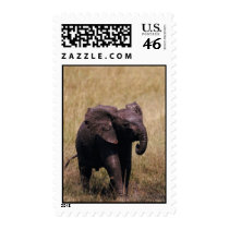 Muddy Baby Elephant Stamp