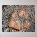 Muddy Dog Print 1 Poster
