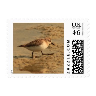 Muddy Waters Postage Stamp