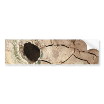 Mudpot or hole bumper stickers