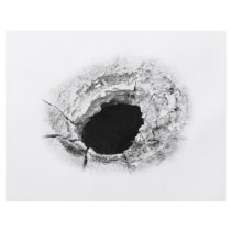Mudpot or hole flyer